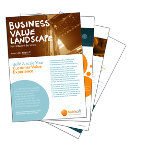 Business-Value-Landscape-for-Network-Services-Snapshot