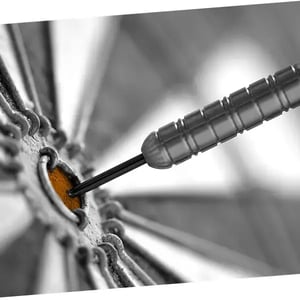 Case Study - Technology Service Provider - Thumb Goals-1