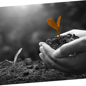 Protect-and-Grow-Revenue